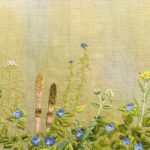 「四季つれづれ」安部恭子 作品集Ⅰ 概要 「四季つれづれ」安部恭子 作品集Ⅰ 概要