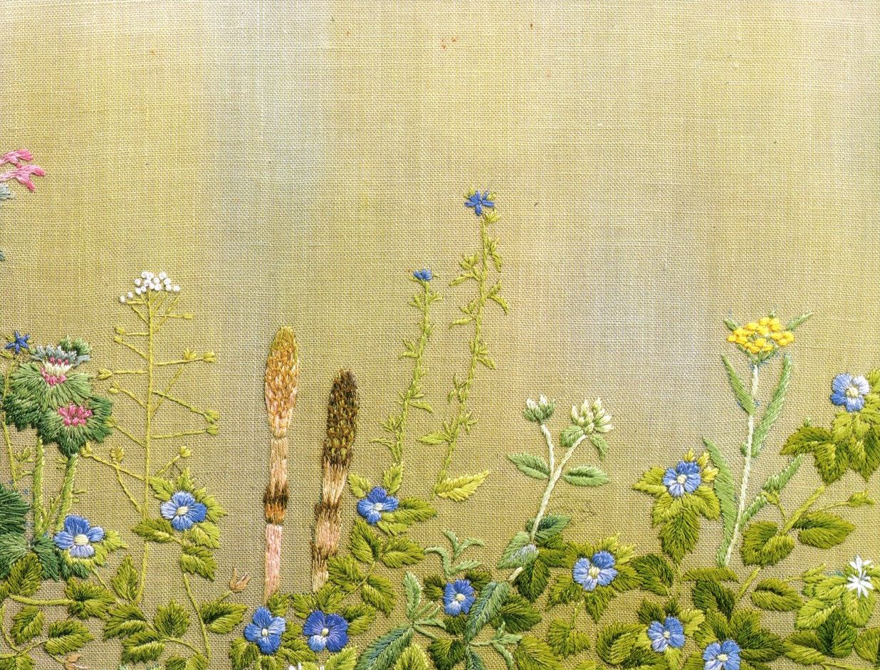 作品集1裏表紙デザイン画像