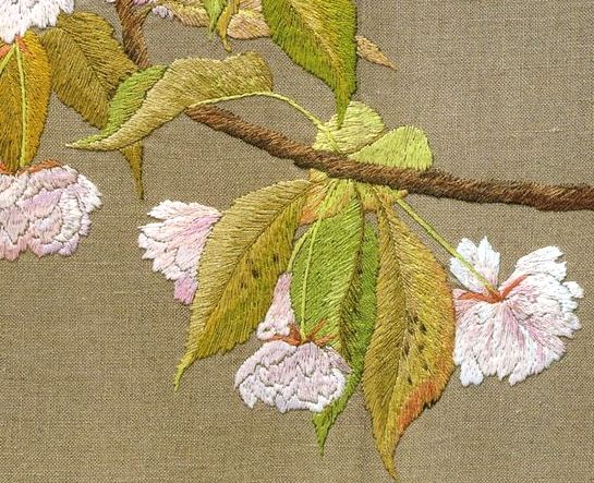 八重桜　ヤエザクラ　Double cherry-blossoms