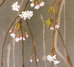 シダレザクラの画像