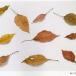 安部恭子 野の花刺繍展・四日市 安部恭子 野の花刺繍展・四日市