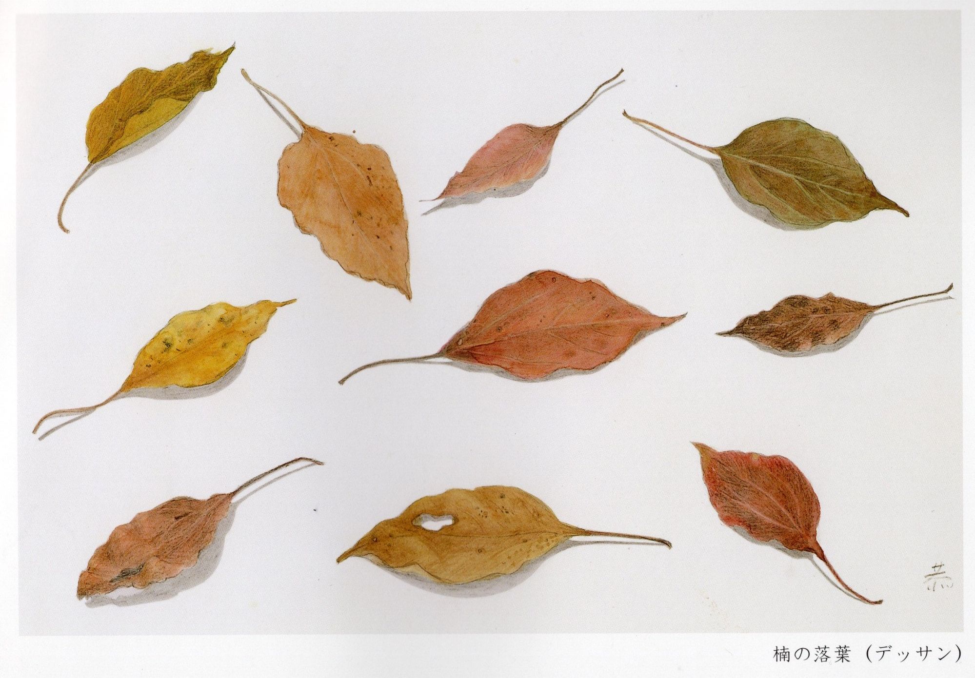 安部恭子 野の花刺繍展・四日市