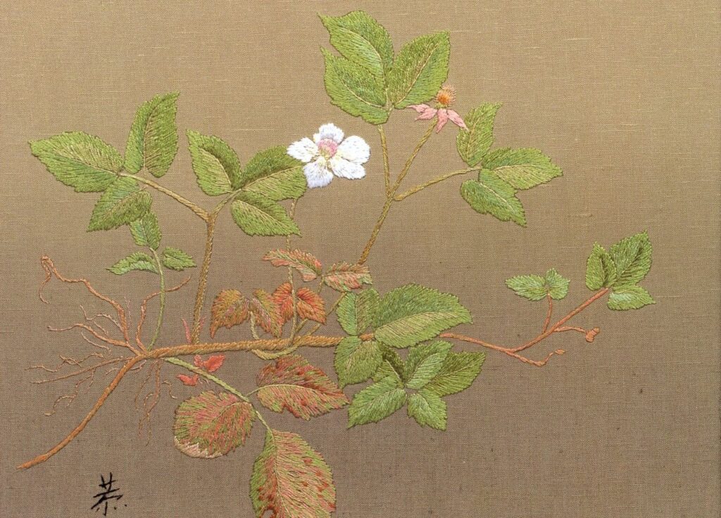 作品集2裏表紙のデザイン