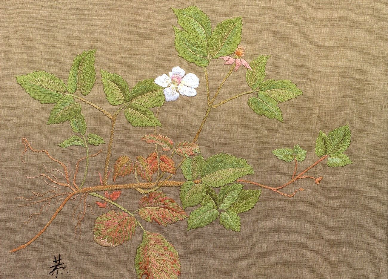 作品集2裏表紙のデザイン