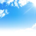 安部恭子刺繍作品 野の花 安部恭子刺繍作品 野の花