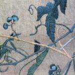 野葡萄 ノブドウ Wild grapes 野葡萄 ノブドウ Wild grapes