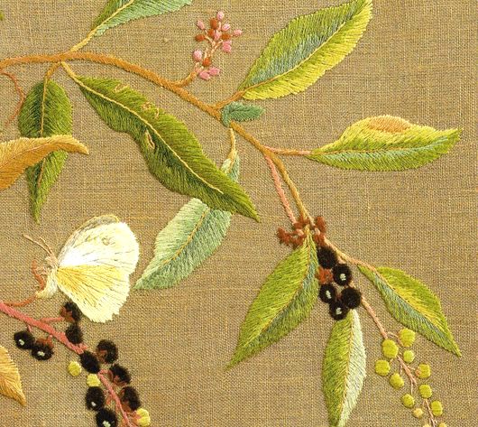 洋種山牛蒡　ヨウシュヤマゴボウ　Inkberry