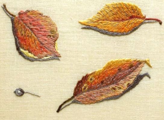 桜の落葉　Fallen cherry-blossom leaves