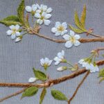 大島桜 オオシマザクラ Oshima-zakura 大島桜 オオシマザクラ Oshima-zakura