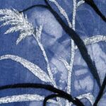 葦 アシ Reed 葦 アシ Reed