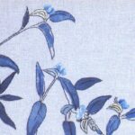 露草 ツユクサ Dayflower 露草 ツユクサ Dayflower