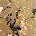 冬 Winter Colors 冬 Winter Colors