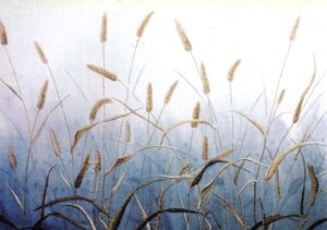 冬のエノコログサ