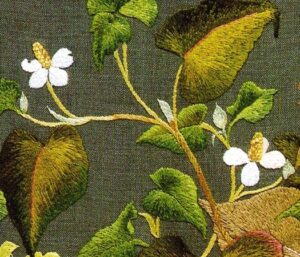 真昼のドクダミEC2