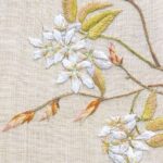 采振木 ザイフリボク Asian serviceberry, Shadberry 采振木 ザイフリボク Asian serviceberry, Shadberry