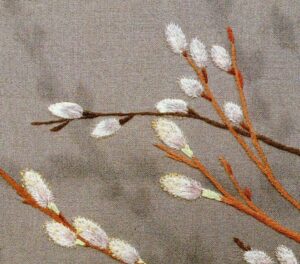 ネコヤナギEC画像