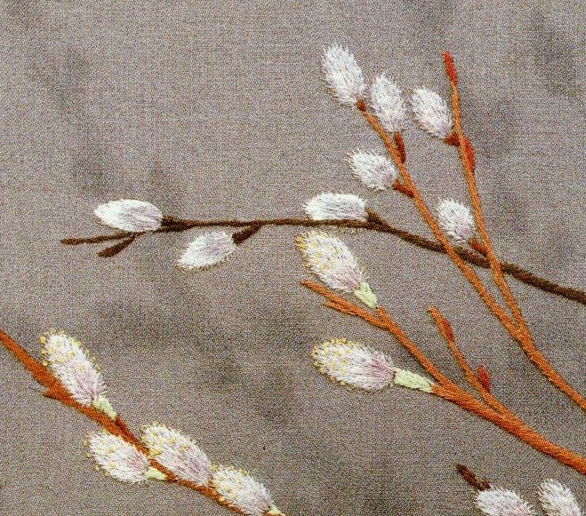 猫柳　ネコヤナギ　Pussy willow