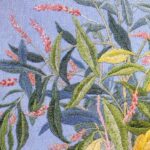 蓼 タデ Knotweed 蓼 タデ Knotweed