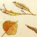 菩提樹の落葉 Fallen linden leaves 菩提樹の落葉 Fallen linden leaves