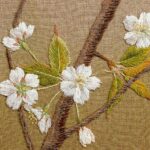 山桜 ヤマザクラ Wild Cherry-blossoms 山桜 ヤマザクラ Wild Cherry-blossoms